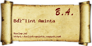 Bálint Aminta névjegykártya